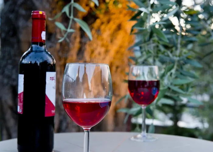 Appart hôtel Votsalo 4*